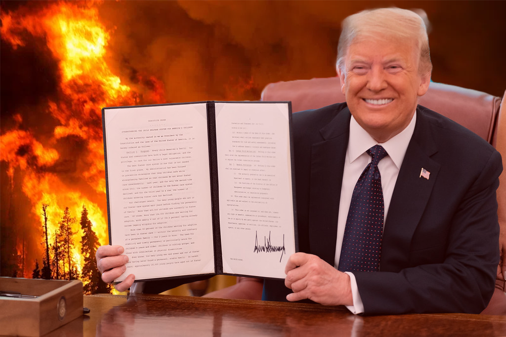 Israel, Climate, Immigration, TikTok: Trump Signs a Slew of Destructive Executive Orders on Day 1